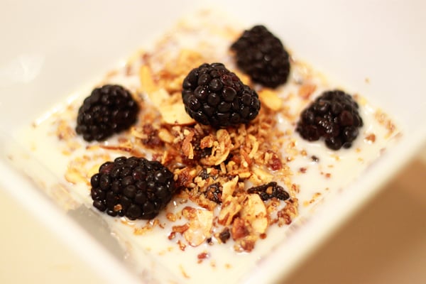 Great Grain-Free Granola