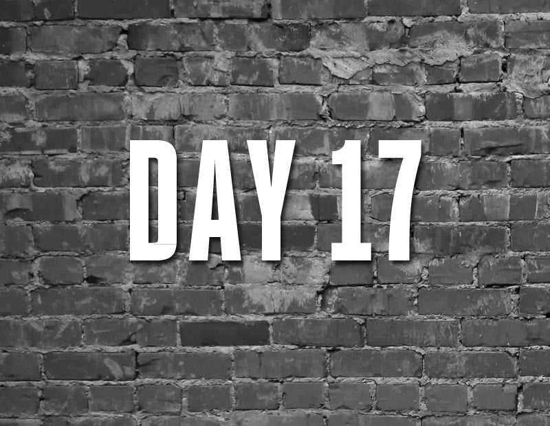DAY 17_LARGE