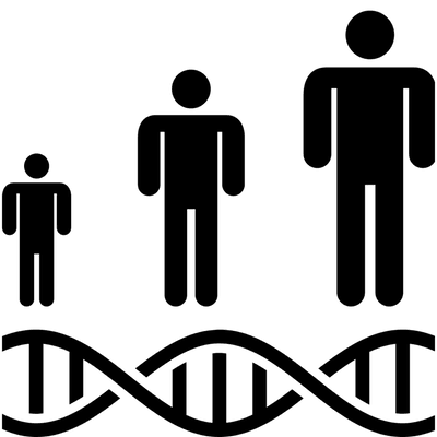 icon_2979