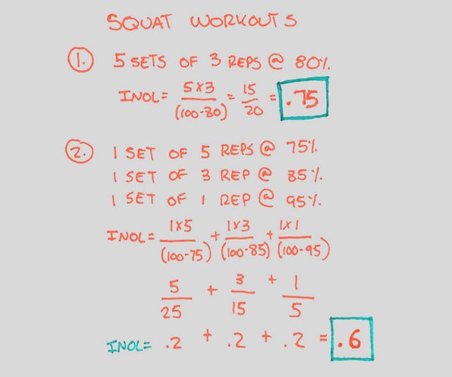 squat every day, squat everyday