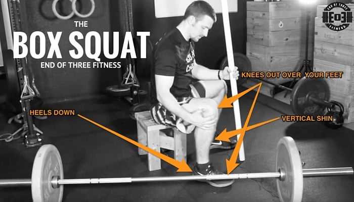 box squat
